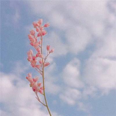 开元棋脾手机app下载截图