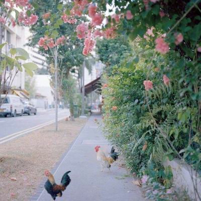 天天中彩票手机app下载