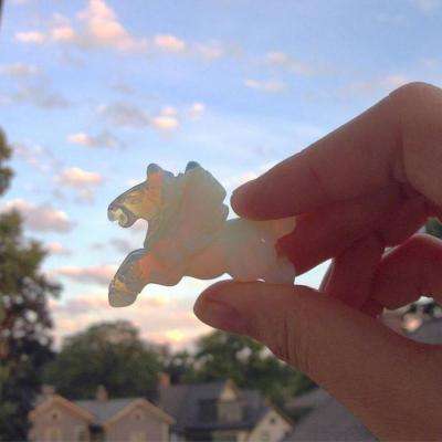 博鱼网页在线登录