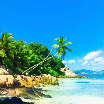 开开棋牌手机app下载