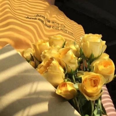 kok最新客户端app下载