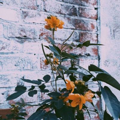 188金宝慱亚洲体育官网手机版下载