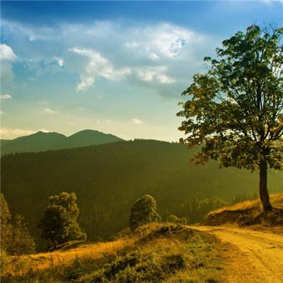 188金宝慱亚洲体育官网手机版下载