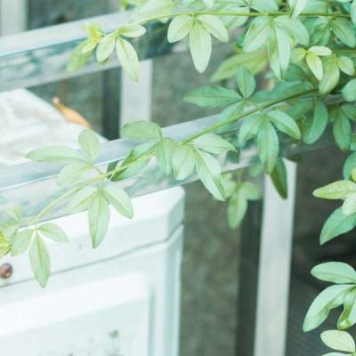 三亿体育下载手机版