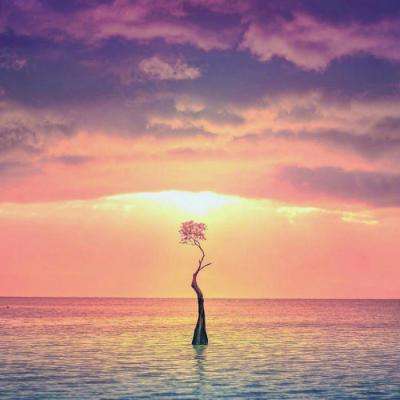 竞彩足球appapp下载截图